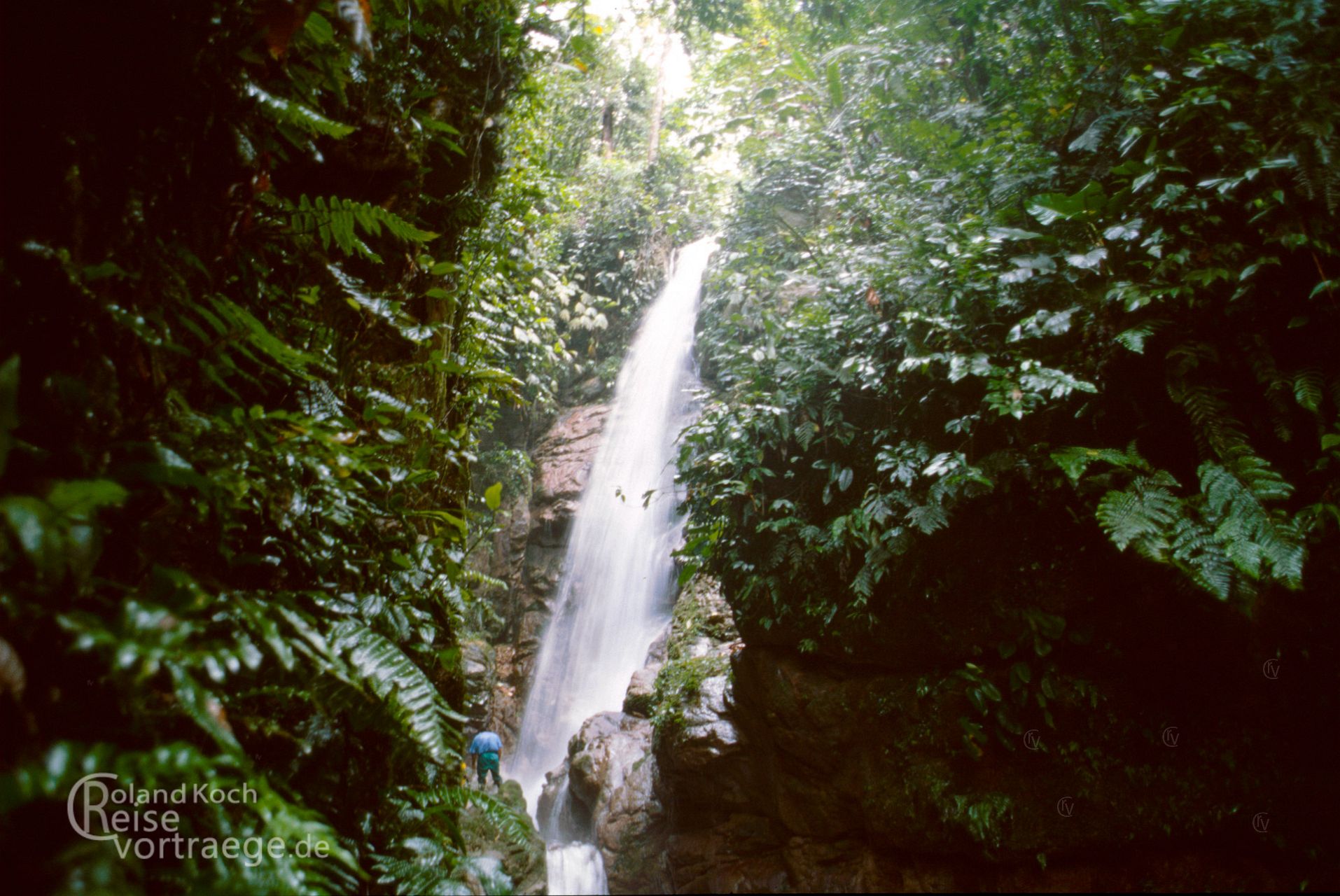 Marokko - Ecuador - Yatunyacu Bergregenwald